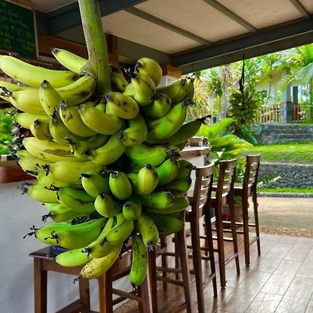South Mountain Resort ซีคีฮอร์ ภายนอก รูปภาพ